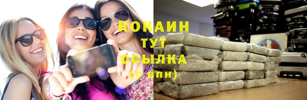 прущая мука Бородино