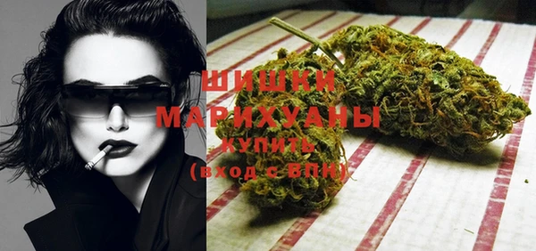 винт Бронницы