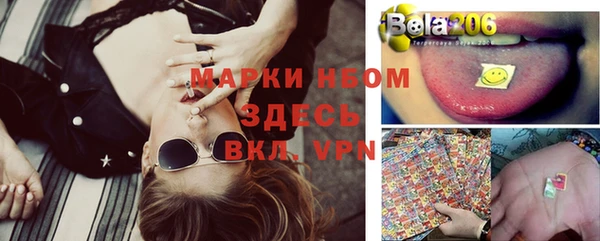 прущая мука Бородино
