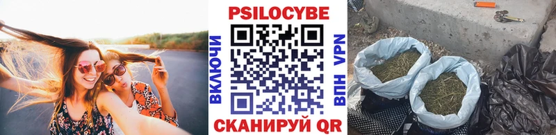 hydra tor  Ядрин  Галлюциногенные грибы мицелий  закладки 