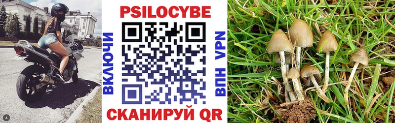 Псилоцибиновые грибы мухоморы Ядрин